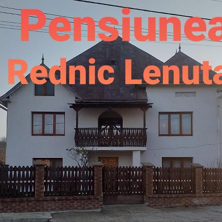 Pensiunea Rednic Lenuta Giulesti Extérieur photo