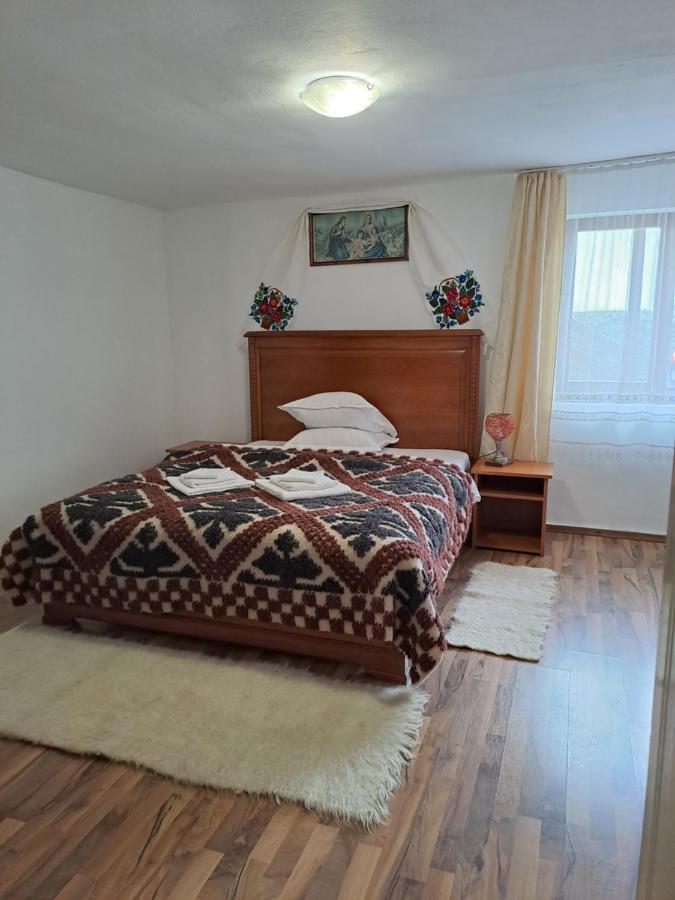 Pensiunea Rednic Lenuta Giulesti Extérieur photo