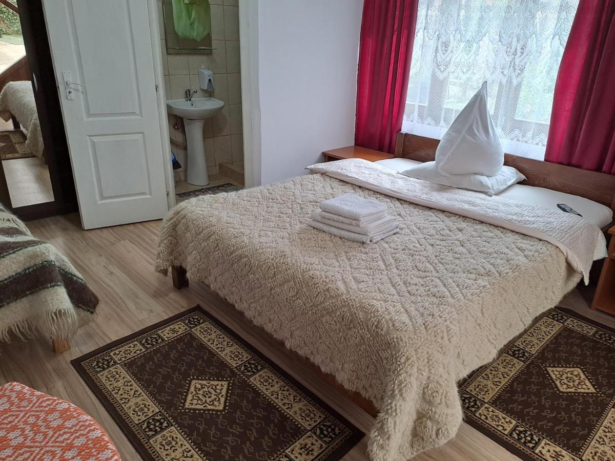 Pensiunea Rednic Lenuta Giulesti Extérieur photo