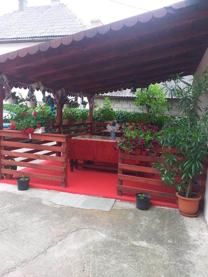 Pensiunea Rednic Lenuta Giulesti Extérieur photo